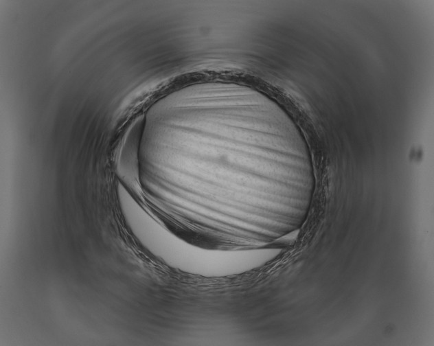 X0000088900920200707061451