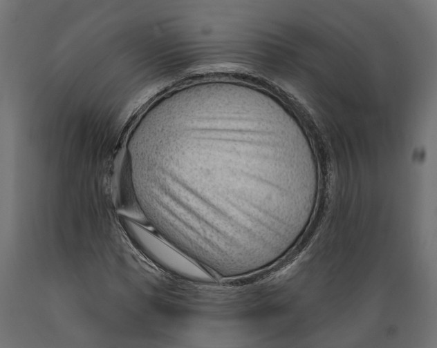 X0000088900921200707061451