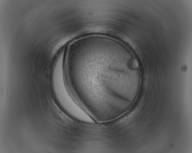 X0000088900922200707061451