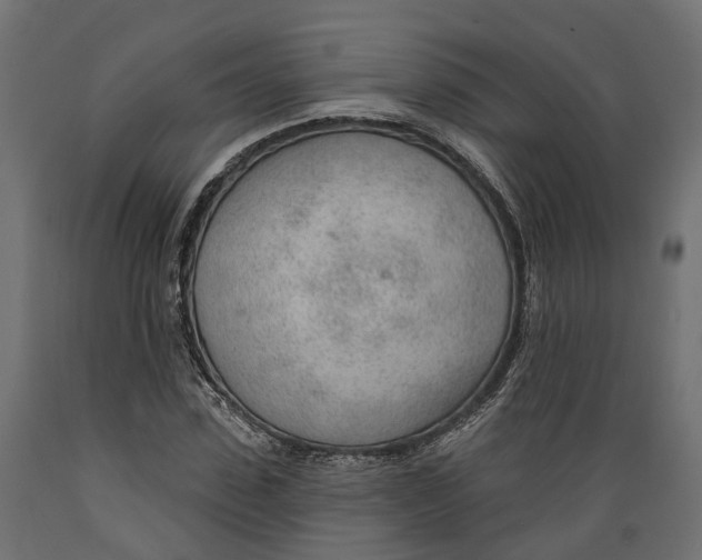 X0000088900923200707061451