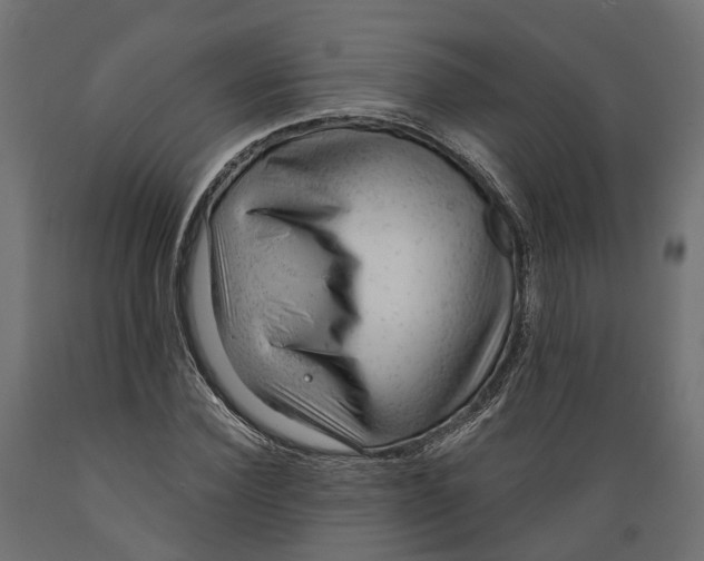 X0000088900924200707061451