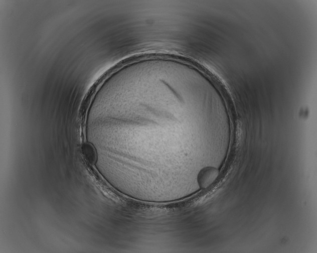 X0000088900925200707061451