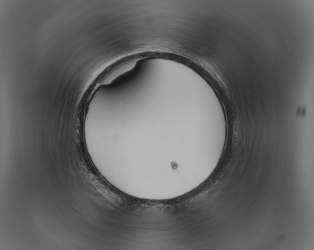 X0000088900926200707061451