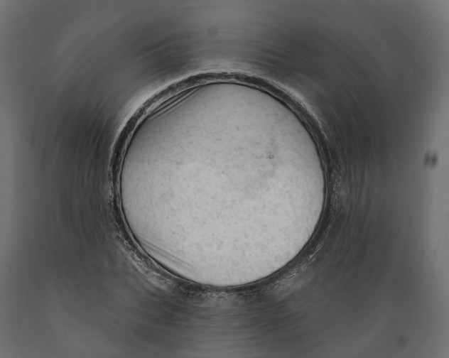 X0000088900927200707061451