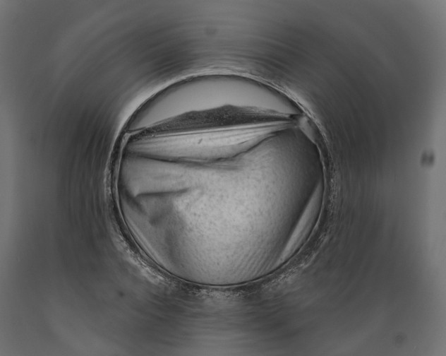 X0000088900928200707061451