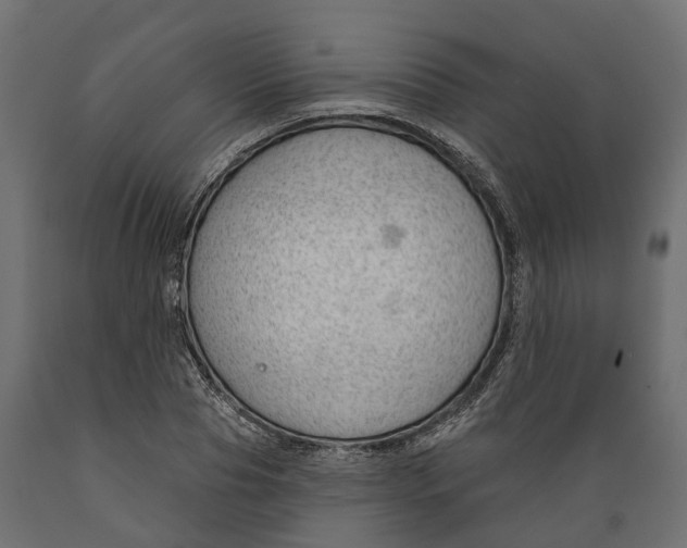 X0000088900929200707061451