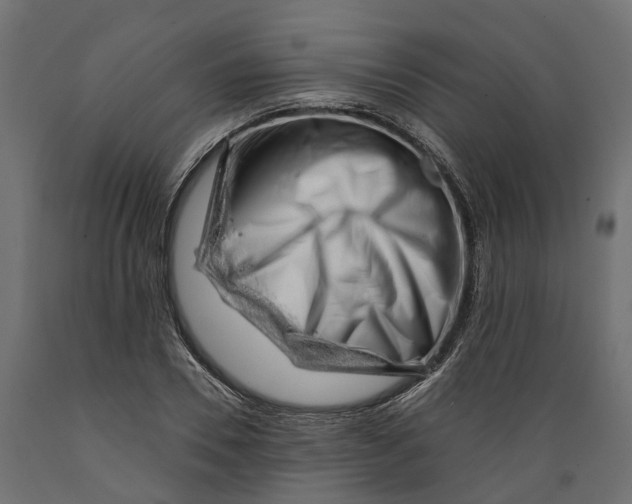 X0000088900930200707061451