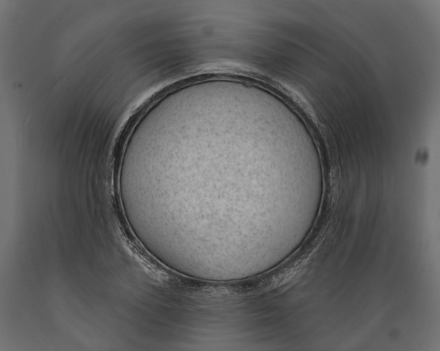 X0000088900931200707061451