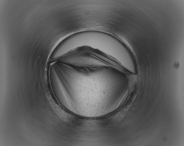 X0000088900932200707061451