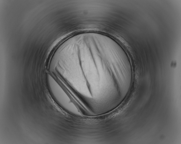 X0000088900933200707061451