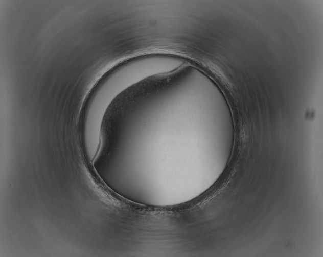 X0000088900934200707061451