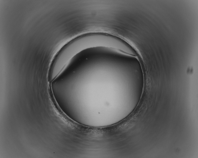 X0000088900935200707061451