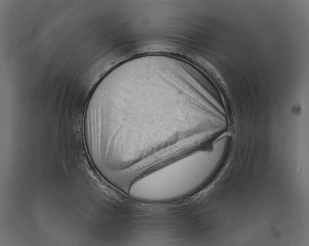 X0000088900937200707061451