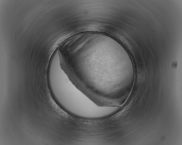 X0000088900938200707061451