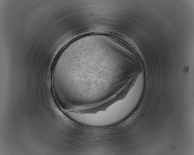 X0000088900939200707061451