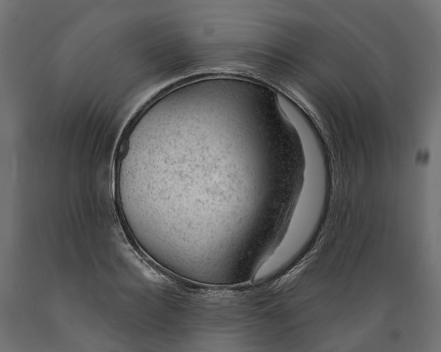 X0000088900940200707061451