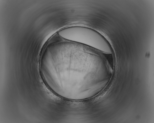 X0000088900941200707061451