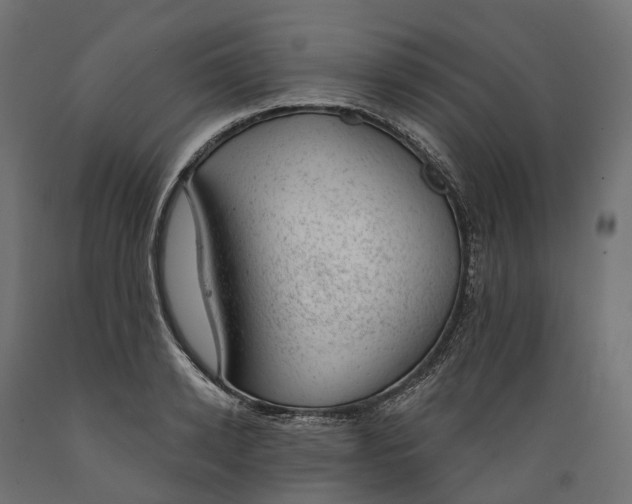 X0000088900942200707061451