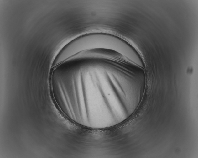 X0000088900943200707061451