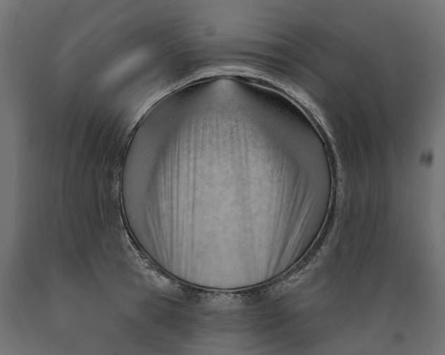 X0000088900945200707061451