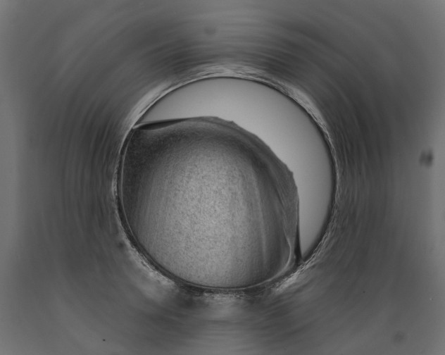 X0000088900946200707061451