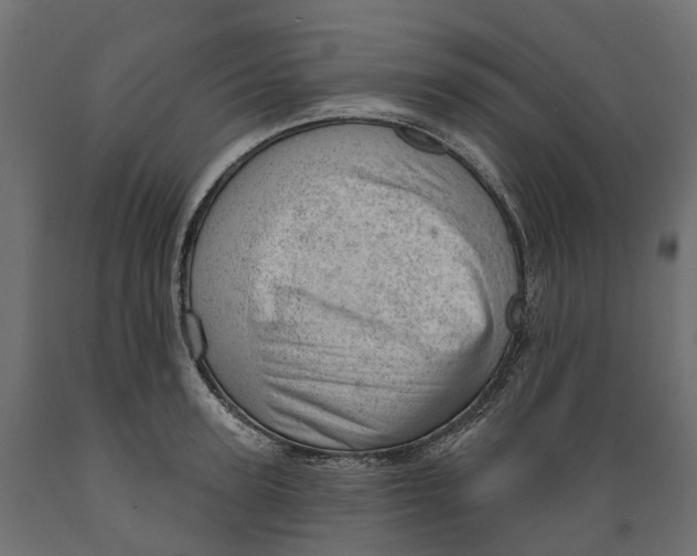 X0000088900947200707061451