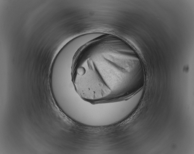 X0000088900948200707061451