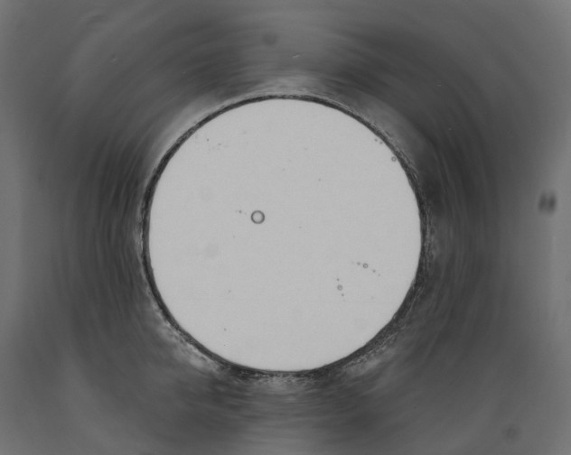 X0000088900950200707061451