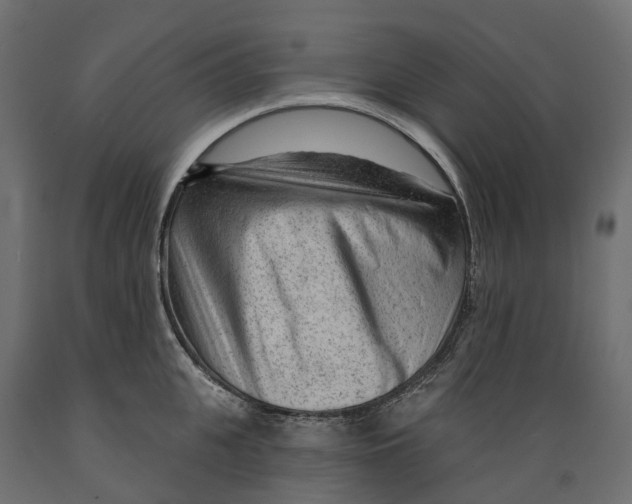 X0000088900951200707061451