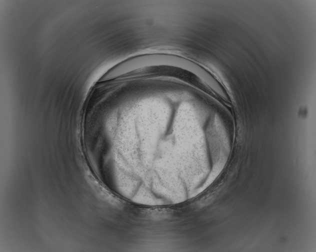 X0000088900952200707061451