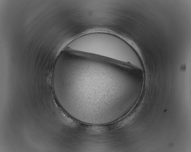 X0000088900953200707061451