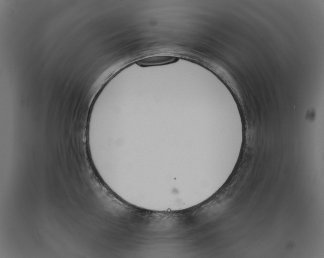 X0000088900954200707061451