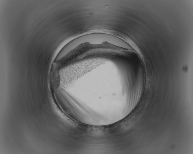 X0000088900955200707061451