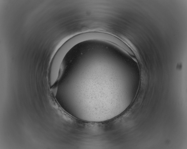 X0000088900956200707061451