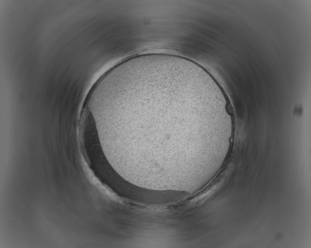 X0000088900957200707061451