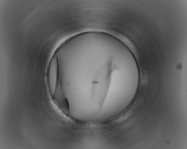 X0000088900958200707061451