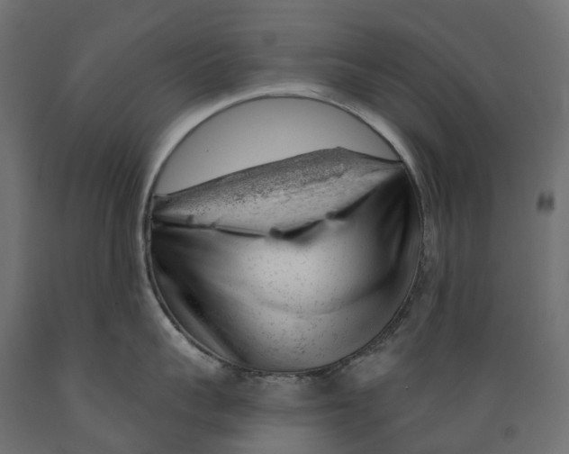 X0000088900959200707061451