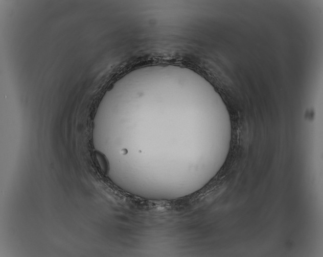 X0000088900961200707061451