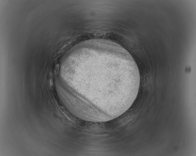 X0000088900962200707061451