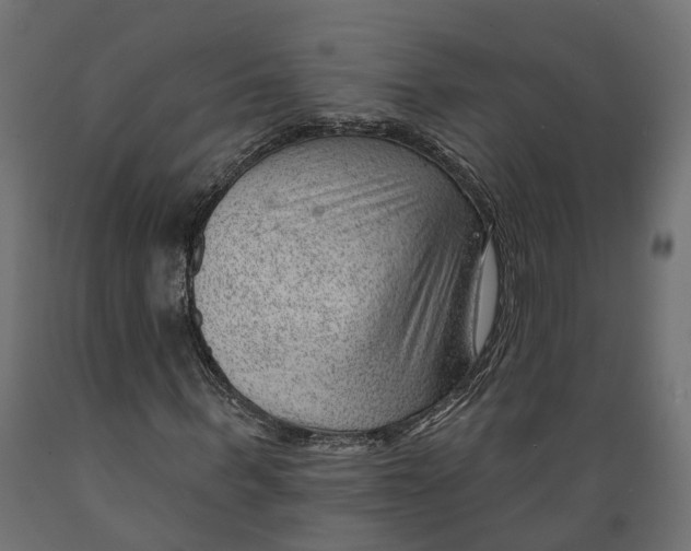 X0000088900963200707061451