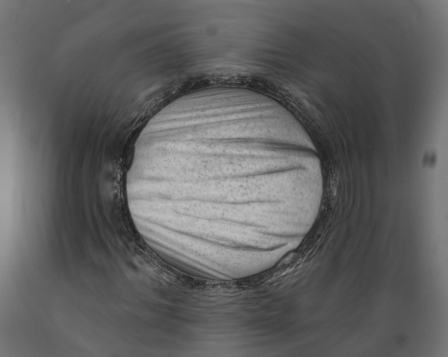 X0000088900964200707061451