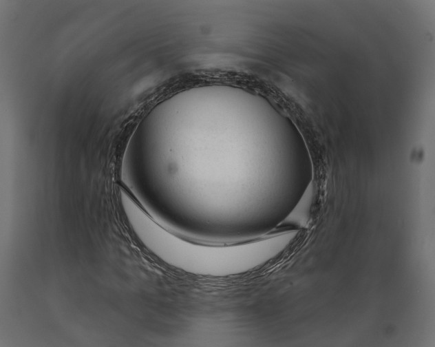 X0000088900965200707061451