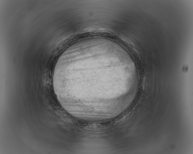 X0000088900966200707061451