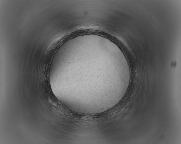 X0000088900967200707061450