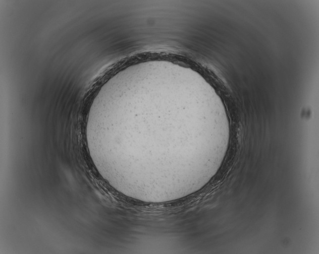 X0000088900968200707061450