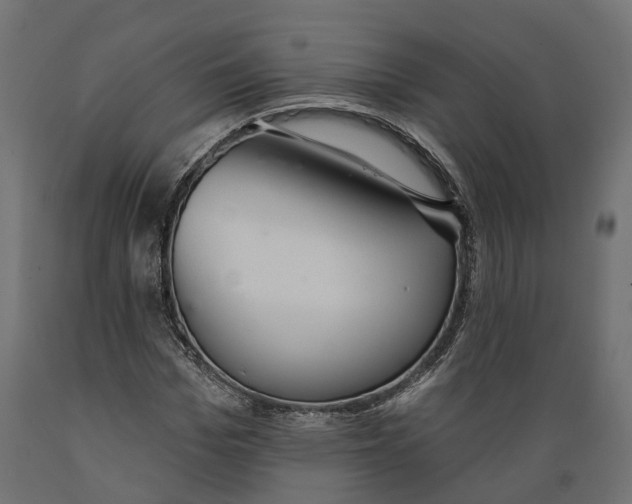 X0000088900969200707061450