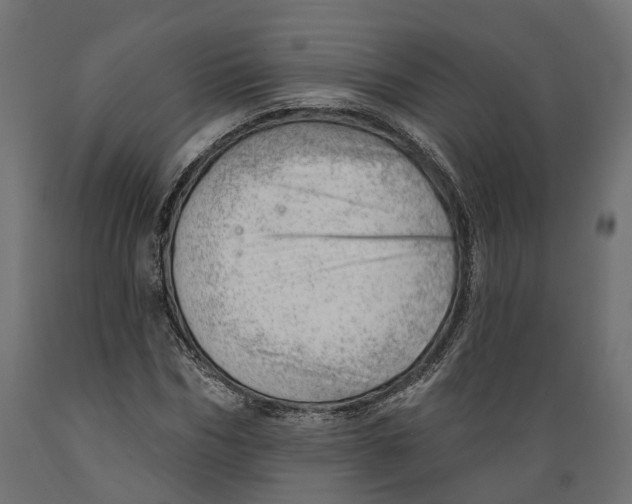 X0000088900970200707061450