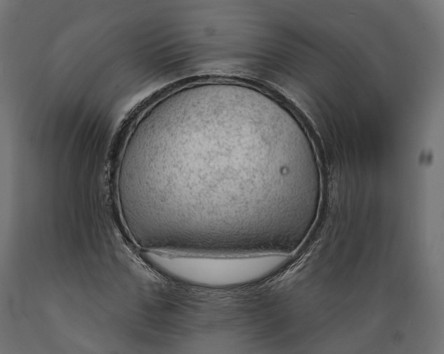 X0000088900971200707061450