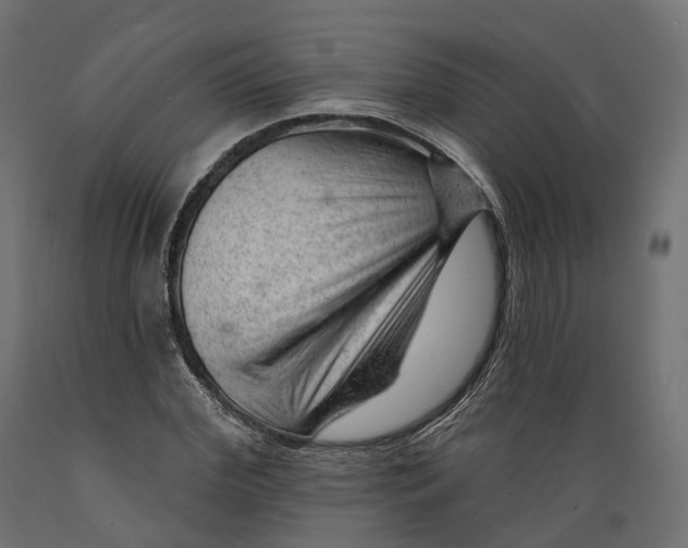 X0000088900972200707061450