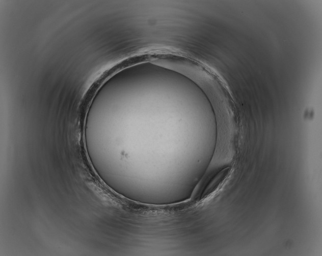 X0000088900973200707061450